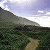 kaena100